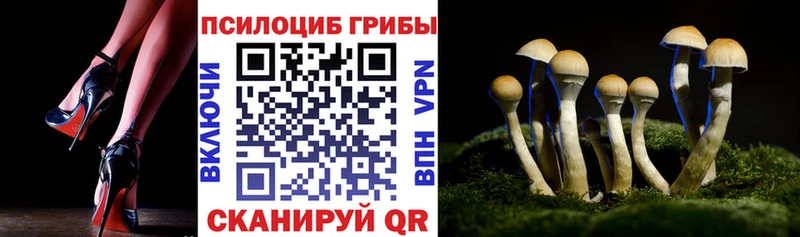 дарк нет клад  продажа наркотиков  Ханты-Мансийск  Псилоцибиновые грибы Psilocybe 